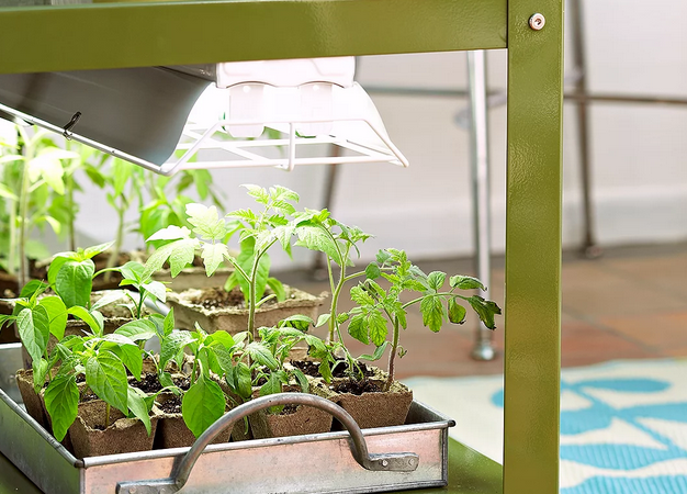 lamp roshd giah 626x450 - چگونه بهترین لامپ رشد گیاه را برای گلخانه انتخاب کنیم؟