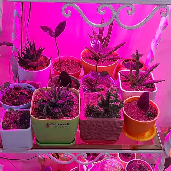 وال واشر LED رشد گیاه ۳۶ وات فول اسپکتروم وال واشر LED رشد گیاه ۳۶ وات فول اسپکتروم