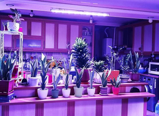 وال واشر LED رشد گیاه ۷۲ وات فول اسپکتروم وال واشر LED رشد گیاه ۷۲ وات فول اسپکتروم