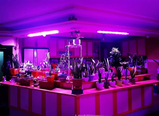 وال واشر LED رشد گیاه ۷۲ وات فول اسپکتروم وال واشر LED رشد گیاه ۷۲ وات فول اسپکتروم