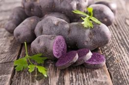 پرورش سیب زمینی شیرین بنفش با لامپ رشد گیاه 157779414 263x174 - پرورش سیب زمینی شیرین بنفش با لامپ رشد گیاه